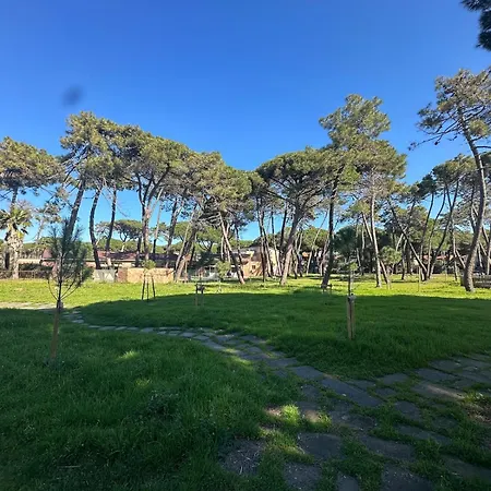 La Pineta